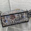 Dior Medium Lady D-Lite bag