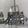 Dior Medium Lady D-Lite bag