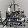 Dior Medium Lady D-Lite bag