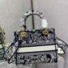 Dior Medium Lady D-Lite bag