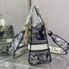 Dior Medium Lady D-Lite bag