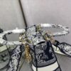 Dior Medium Lady D-Lite bag