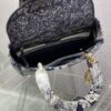 Dior Medium Lady D-Lite bag