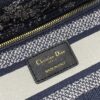 Dior Medium Lady D-Lite bag