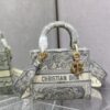 Dior Medium Lady D-Lite bag