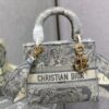 Dior Medium Lady D-Lite bag