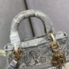 Dior Medium Lady D-Lite bag