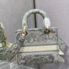 Dior Medium Lady D-Lite bag