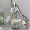Dior Medium Lady D-Lite bag