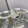 Dior Medium Lady D-Lite bag