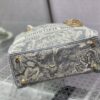 Dior Medium Lady D-Lite bag