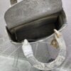 Dior Medium Lady D-Lite bag
