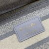 Dior Medium Lady D-Lite bag