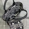 Dior HAT BASKET BAG