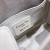 Dior Samll Boston Bag