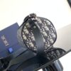 DIOR ROLLER BAG WITH STRAP