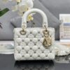 Lady Dior Small