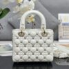 Lady Dior Small
