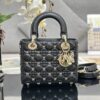 Lady Dior Small