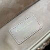 Dior Lady D-Joy Small Bag