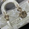Dior Lady D-Joy Bag Medium