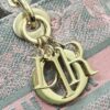 Dior Lady D-Joy Bag Medium