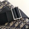 Dior Saddle Messenger Bag