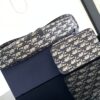 Dior Saddle Bag