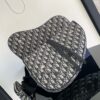 Dior Saddle Bag