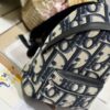 Dior Oblique Rider Backpack Mini