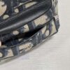 Dior Oblique Rider Backpack Mini