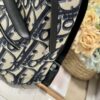 Dior Oblique Rider Backpack Small