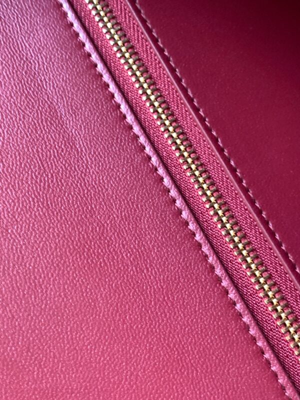 CELINE TRIOMPHE FRAME MEDIUM