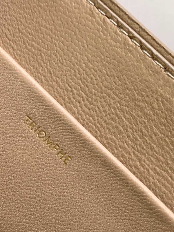 CELINE TRIOMPHE FRAME MEDIUM