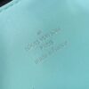 Louis Vuitton Coussin PM