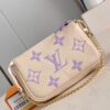 Louis Vuitton Mini Pochette Accessoires Handbag