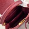 Louis Vuitton Capucines Mini Handbag
