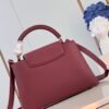 Louis Vuitton Capucines Medium Handbag