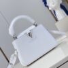 Louis Vuitton Capucines Mini