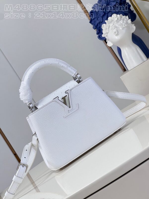 Louis Vuitton Capucines Mini