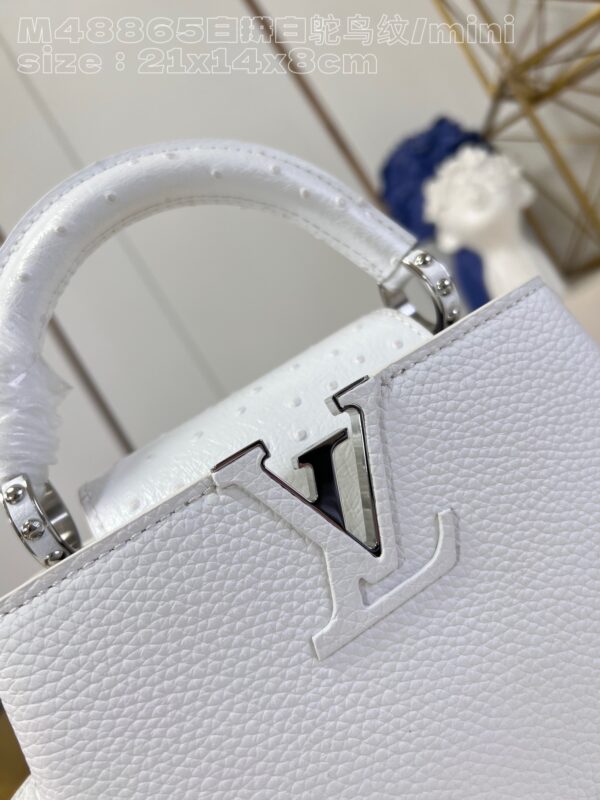 Louis Vuitton Capucines Mini