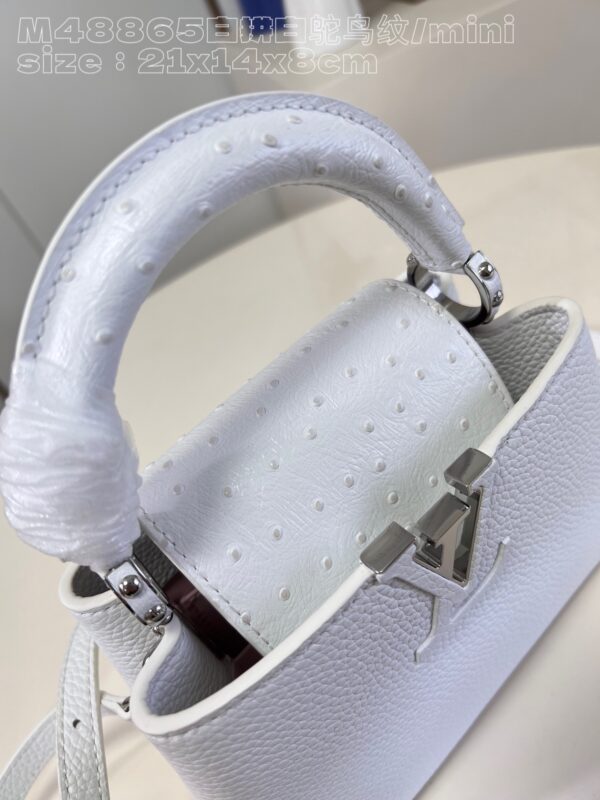 Louis Vuitton Capucines Mini