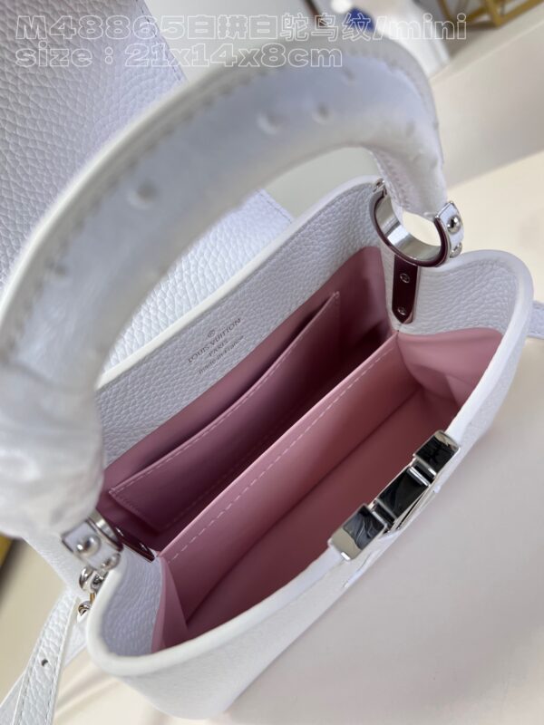 Louis Vuitton Capucines Mini