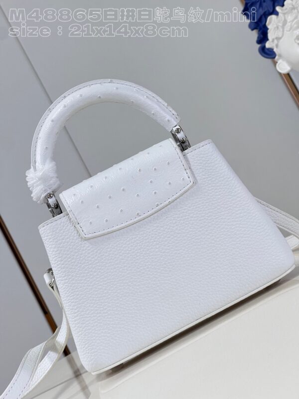 Louis Vuitton Capucines Mini