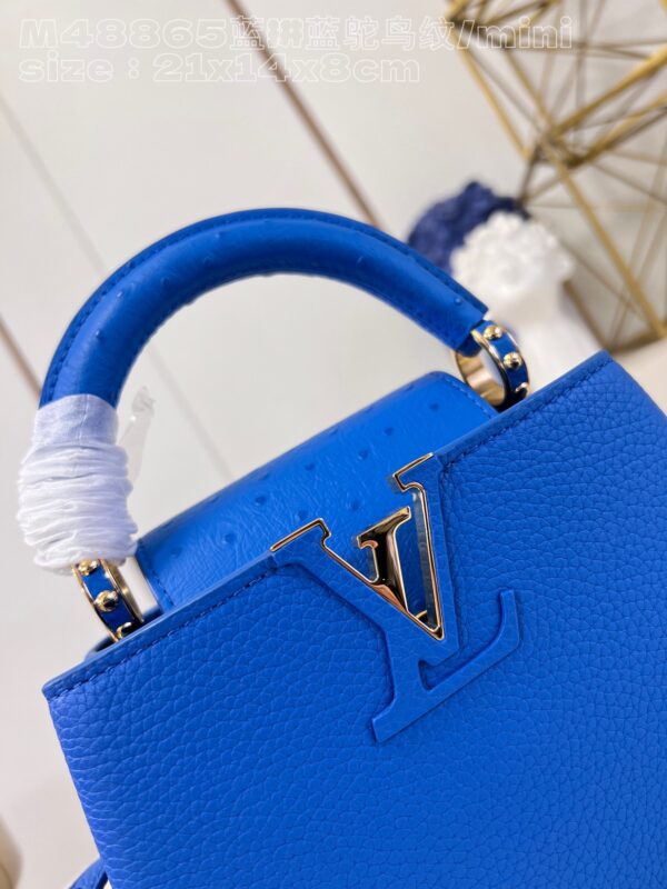 Louis Vuitton Capucines Mini