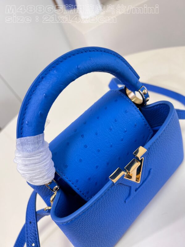 Louis Vuitton Capucines Mini
