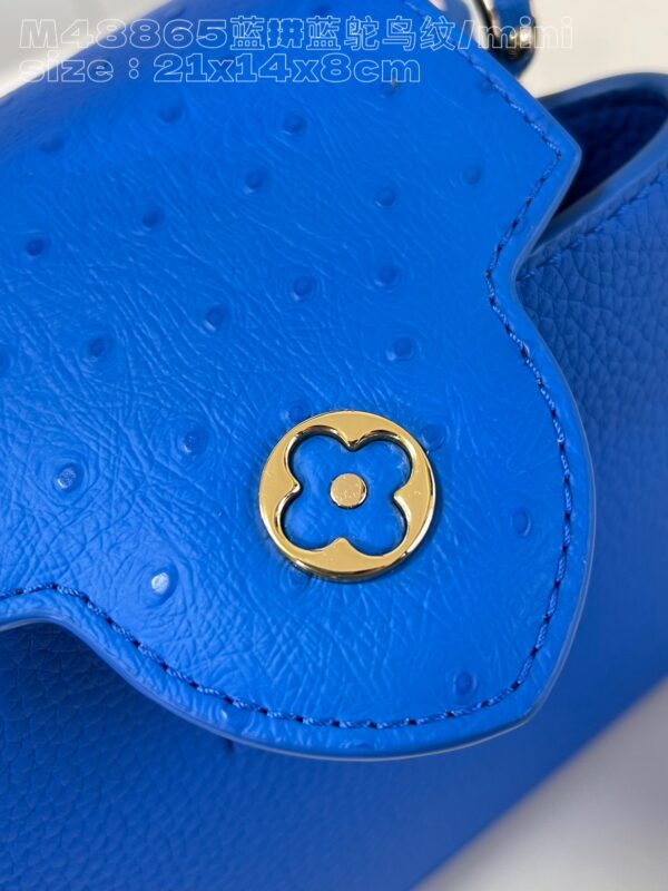 Louis Vuitton Capucines Mini