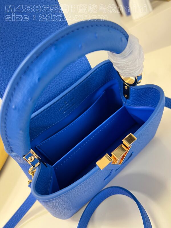 Louis Vuitton Capucines Mini