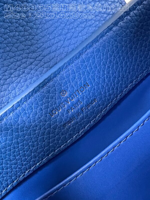 Louis Vuitton Capucines Mini