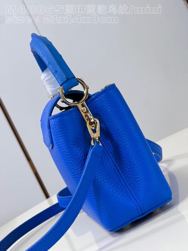 Louis Vuitton Capucines Mini